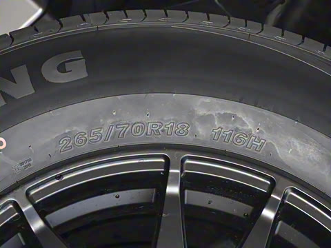 2025�� ������-��Ұ 5��