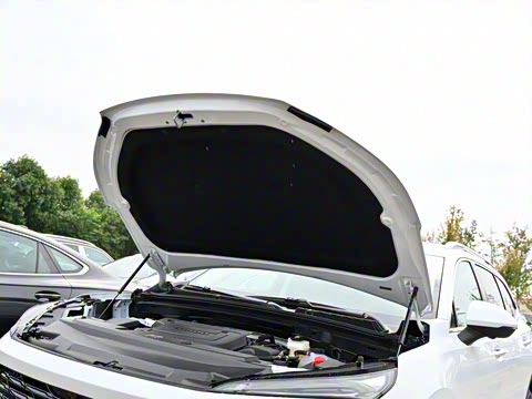 2026�� ������Plus 28T �����׽��