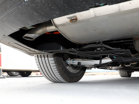 2025�� ��� ����������