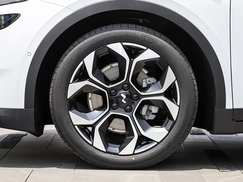 2026�� 85kWh Max+