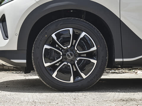 2026�� DM-i 305�Ǻ���