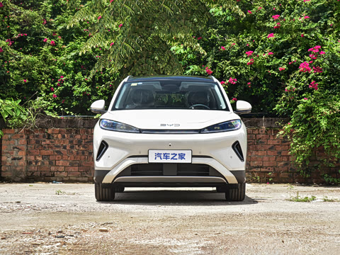 2026�� DM-i 305�Ǻ���