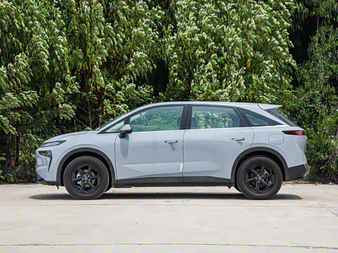 2026�� ��ƽ�� ������������