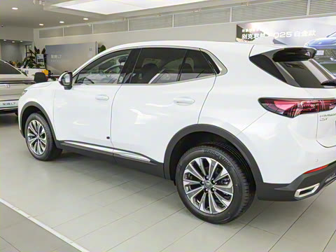 2026�� 25T �����׽��