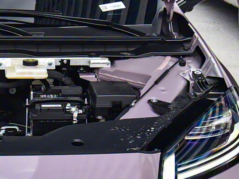 2026�� 520�Ǻ���