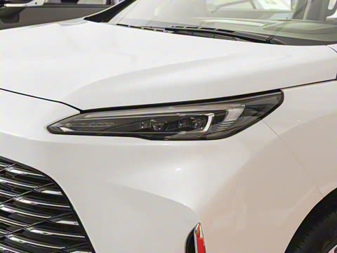 2025�� ½�Ϲ���� ����DG��