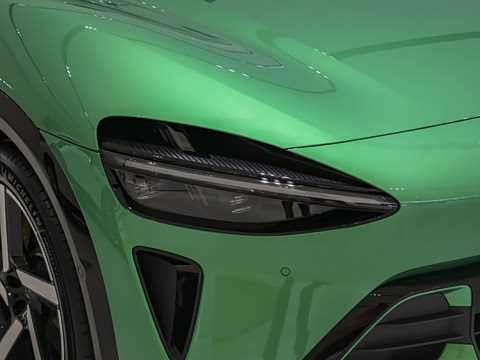 2025�� ������������Pro��