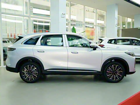 2026�� ����� ���� ����1.6T �Զ������