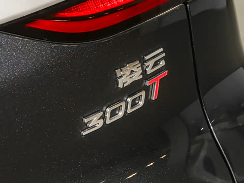 2025�� 300T �����ǹ��