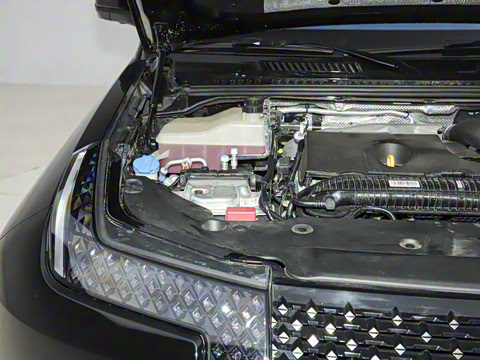 2025�� ������