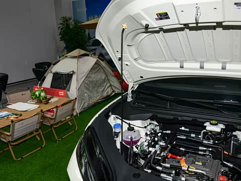 2025�� 520���г��а�