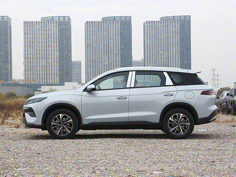 2026�� DM-i 133KM��ȡ��