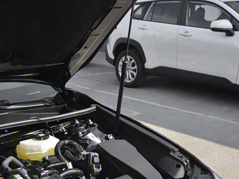 2026�� ˫�� 2.0HS �˶���