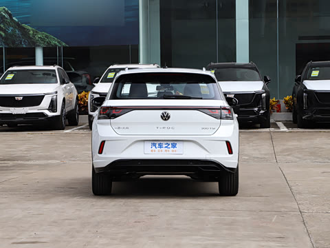 2026�� 300TSI DSG���������