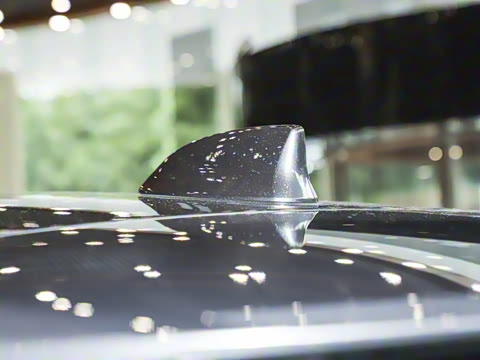 2025�� 300 ����������