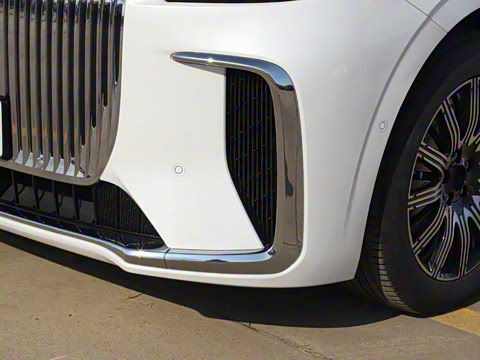 2025�� EV �������������