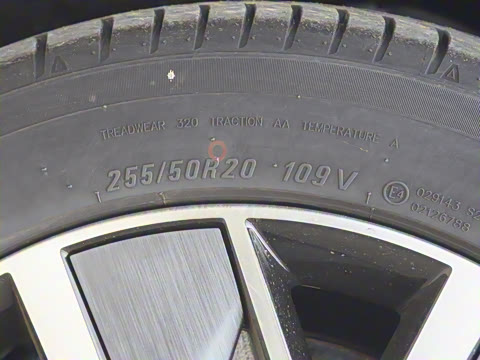 2025�� Ǭ�� Max 6��