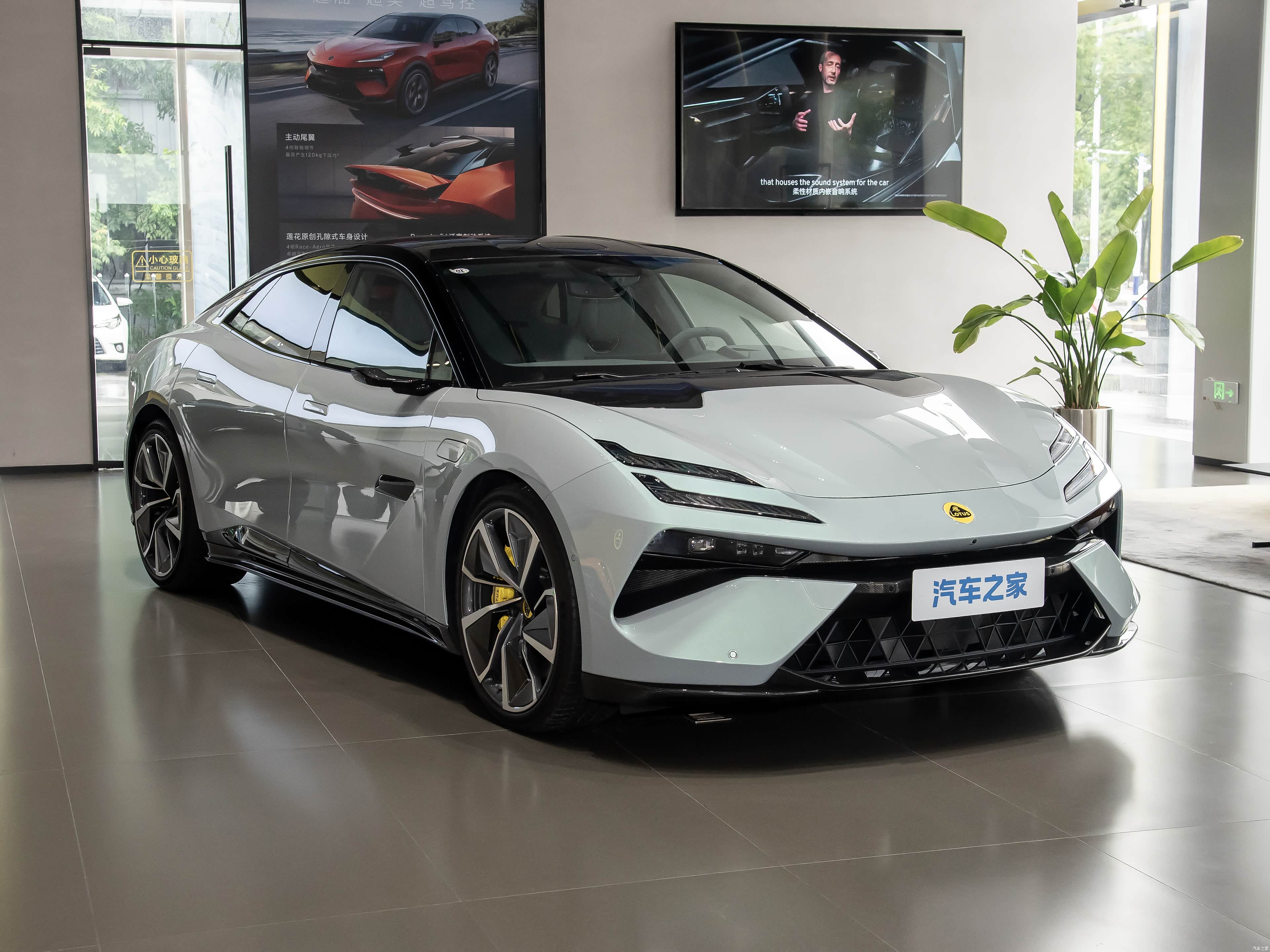 Lotus Emeya, миниатюра 3