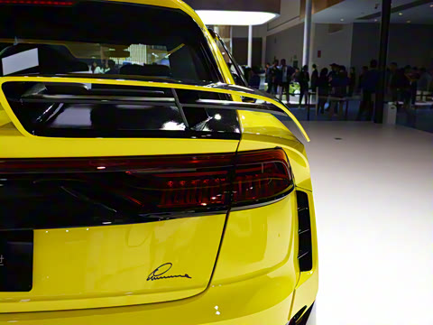 2025�� ����