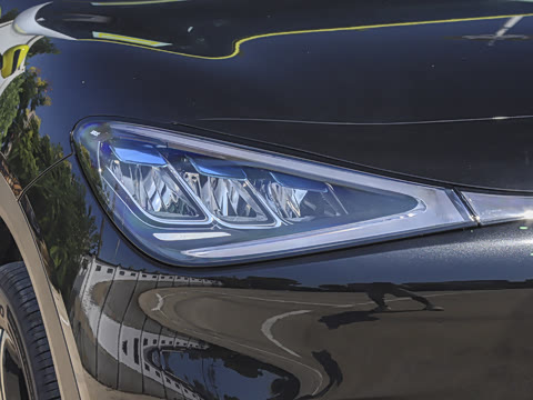 2026�� �鶯��������