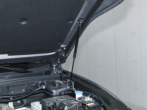 2025�� ��׼���