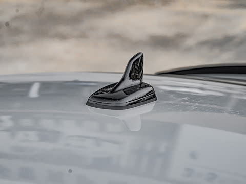 2025�� RS 5 2.9T Sportback ȼ���