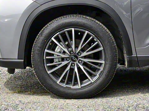 2025�� 290T ��������+