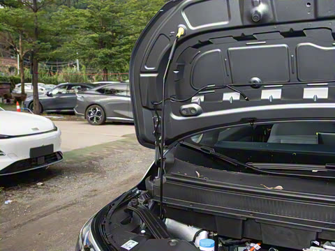 2025�� Plus 610 ������