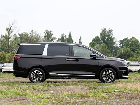 2026�� ����Pro