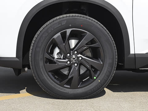 2025�� 518�����͹ھ���