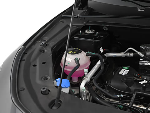 2025�� �ھ��� 1.5T DCT�ھ�PRO 7��
