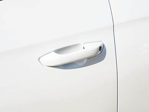 2026�� DM-i 220KM��Խ��