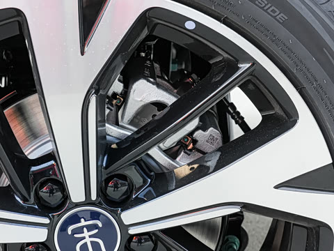 2026�� DM-i 220KM��Խ��