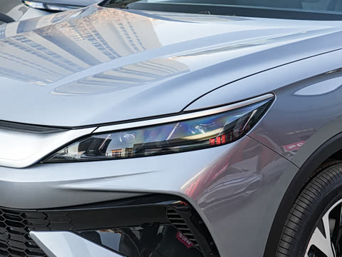 2026�� DM-i 220KM��Խ��