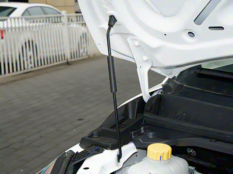 2026�� 2.0L �ֶ����������� 7�� CNG