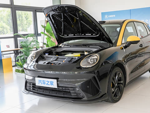 2026�� �˶���