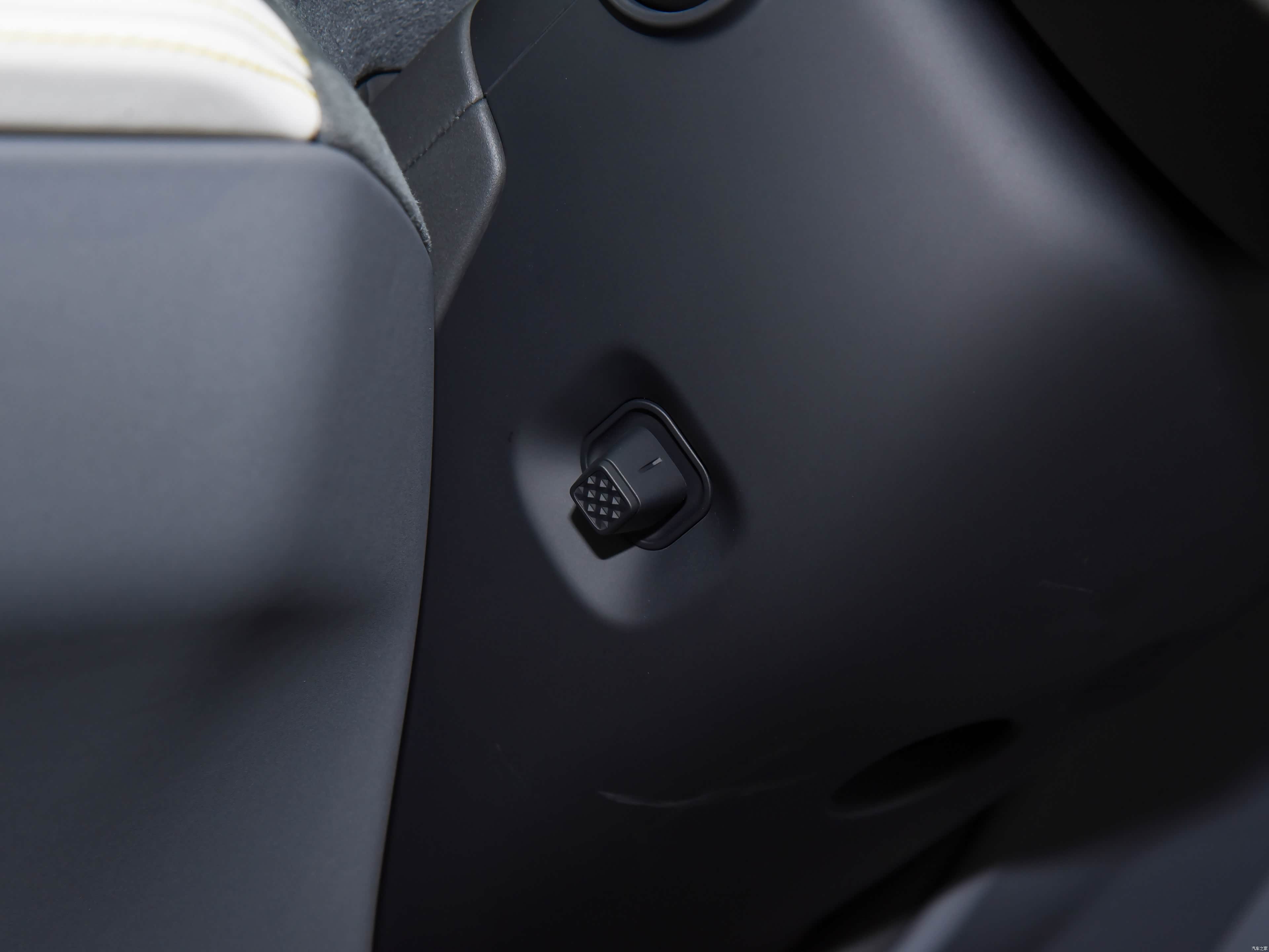 Lotus Emeya, миниатюра 16