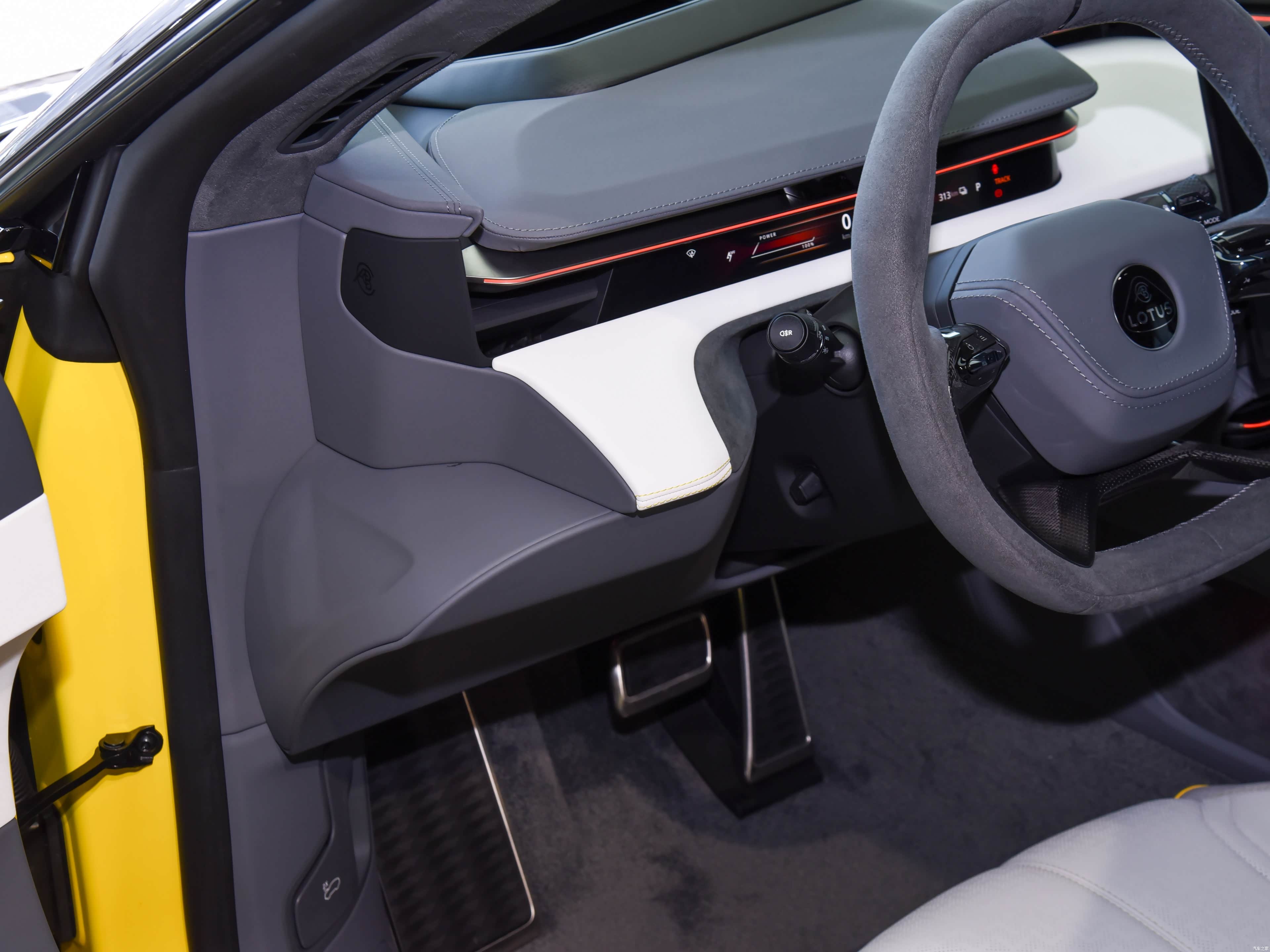 Lotus Emeya, миниатюра 14
