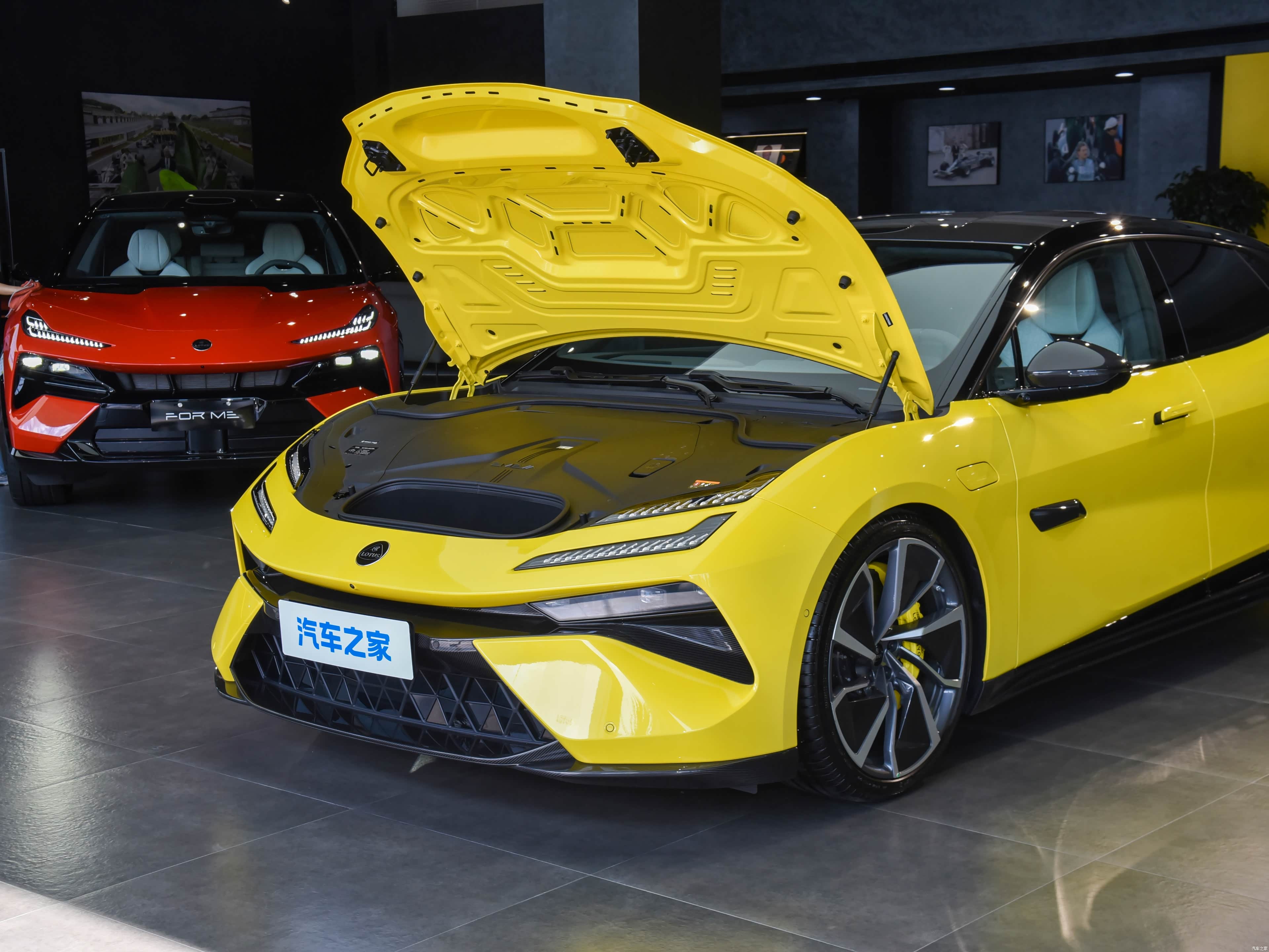 Lotus Emeya, миниатюра 29