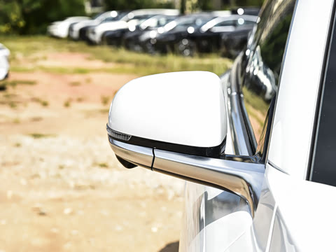 2026�� �����������̰� 310������