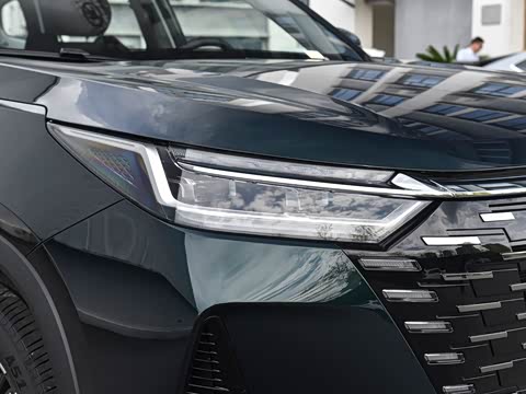 2025�� 290T ��������+