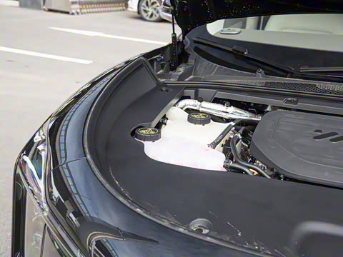 2026�� ���� 66 Max