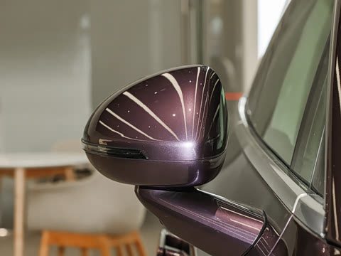 2025�� 705km Pro