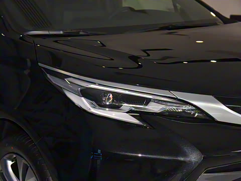 2026�� 2.5L ˫����������