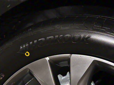 2026�� 2.5L ˫����������