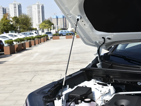 2026�� 2.5L ���ܵ��˫�� ����PRO