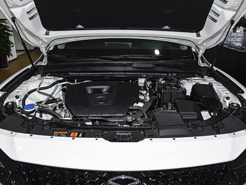 2026�� 2.5L ���а�