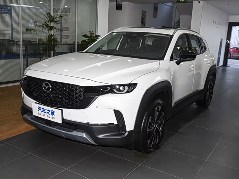 2026�� 2.5L ���а�