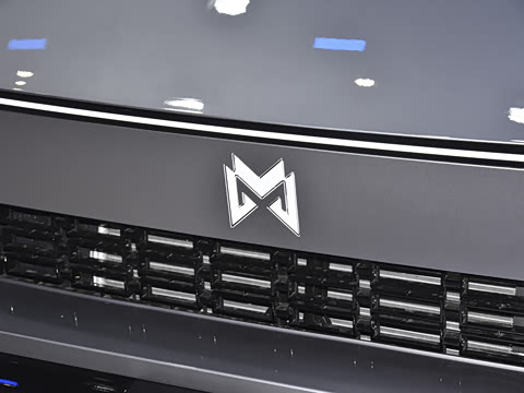 2025�� Max