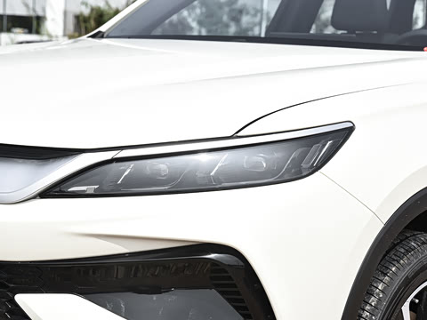 2026�� DM-i 220KM��Խ��